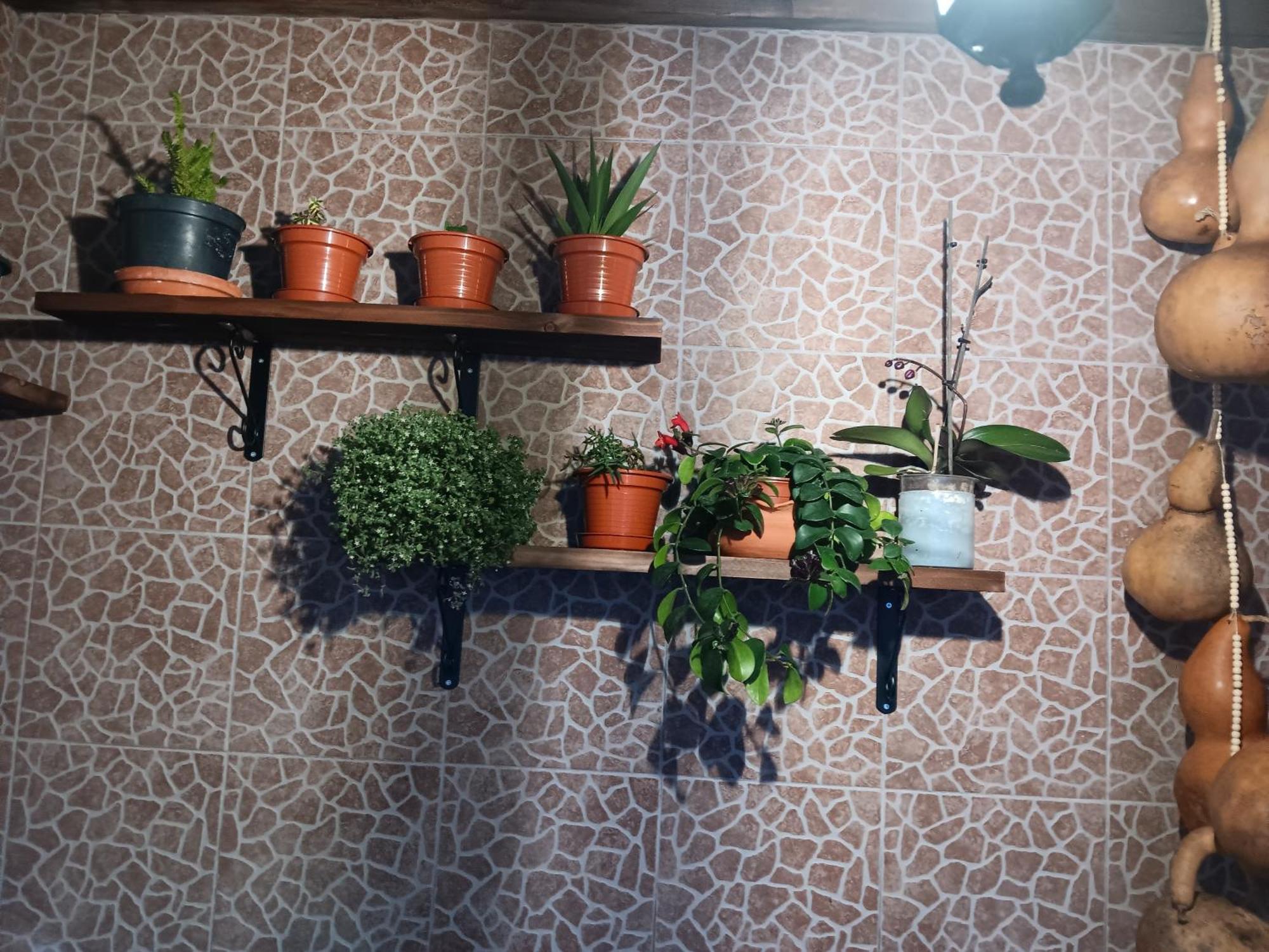 Willa Casa Da Rosarinha Água de Alto Zewnętrze zdjęcie